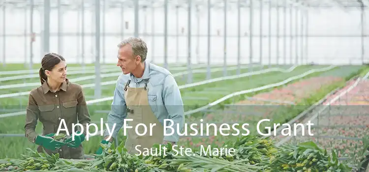 Apply For Business Grant Sault Ste. Marie